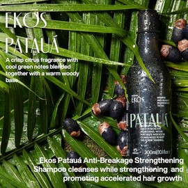 natura - Ekos Patauá Champú Refortalecedor Anti-Roturas Para El Cabello - Previene La Caída Del Cabello - Fortificar Raíces Y Hebras - Cuidado Del... 