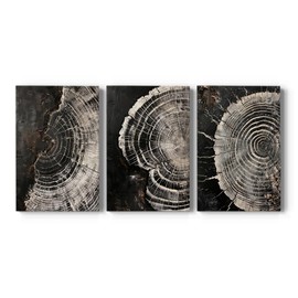 Renditions Gallery Circular Patterns Wall Art Monochrome Shadows Of Time wall decor Canvas Prints & Paintings for Restaurant Office School - 12"x18"x3panels GAL056