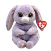 TY 2011576 Plush