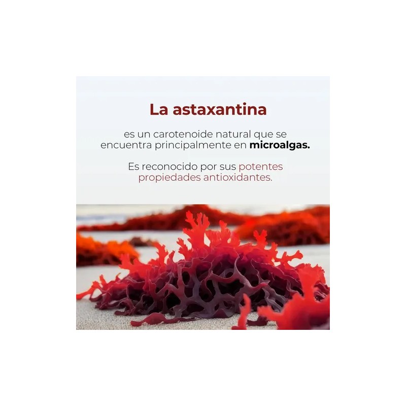 Astaxantina Aceite De Coco Mct Oil 90 Softgels Maklen Sabor