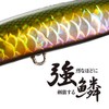 Shimano XL-210R 015 Exsense Sliding Assassin 100S X AR-C Sinking