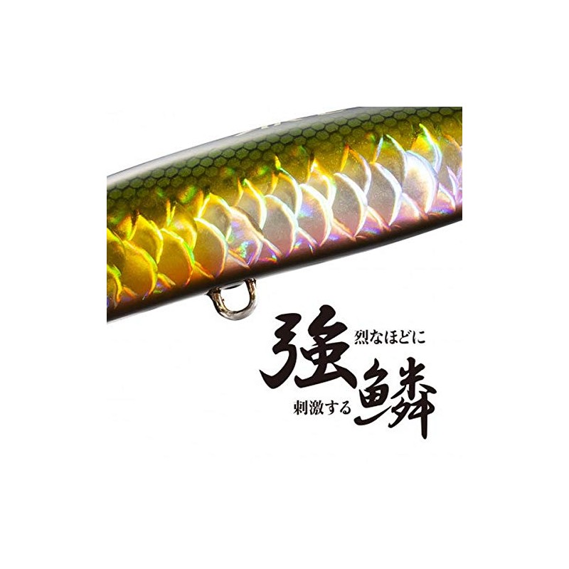 Shimano XL-210R 015 Exsense Sliding Assassin 100S X AR-C Sinking