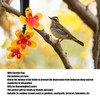 DIY Hummingbird Feeder Hanging Bottle Recycling Flower Hummingbirds Feeding Kit