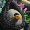 HyzaPhix Hammock Reptile Accessories, Terrarium Accessories Gecko, Reptile Decoration for