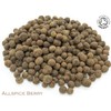 Organic Allspice Berry Pure Herbal Infusion (25 Unbleached Tea Bags