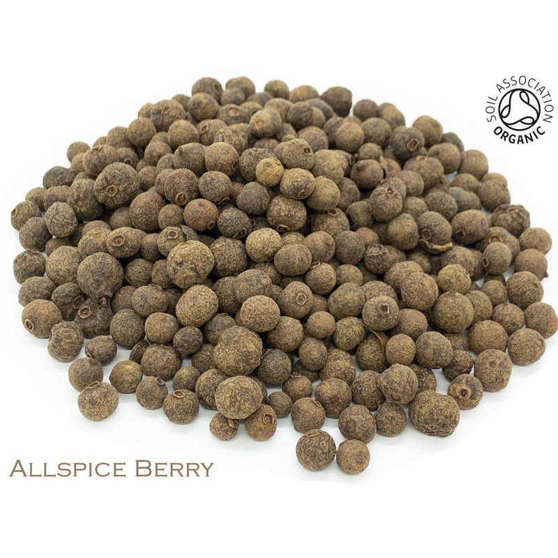 Organic Allspice Berry Pure Herbal Infusion (25 Unbleached Tea Bags