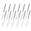 Parlynies Stainless Steel Steak Knives Set of 12, Steak Knives