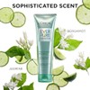 L'Oreal Paris, Acondicionador Ever Strong Con Hoja De Romero, 250