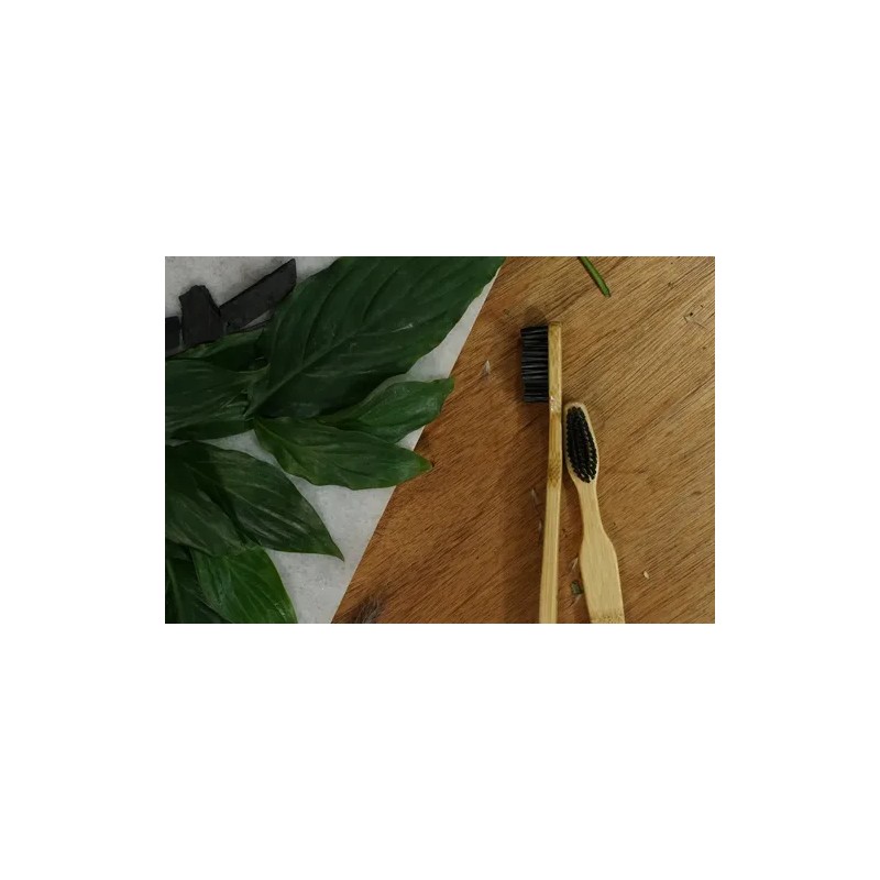 Cepillo Dental Bambú Ecológico Carbon Activado Mitch