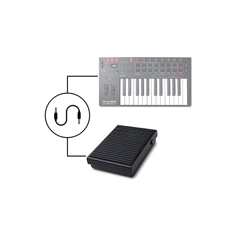 M-AUDIO foot switch SP-1