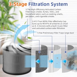 Model AUS-0850AAPU Compatible Replacement True HEPA Filter for Winix Compact 4-Stage Hospital Grade True HEPA Air Purifier