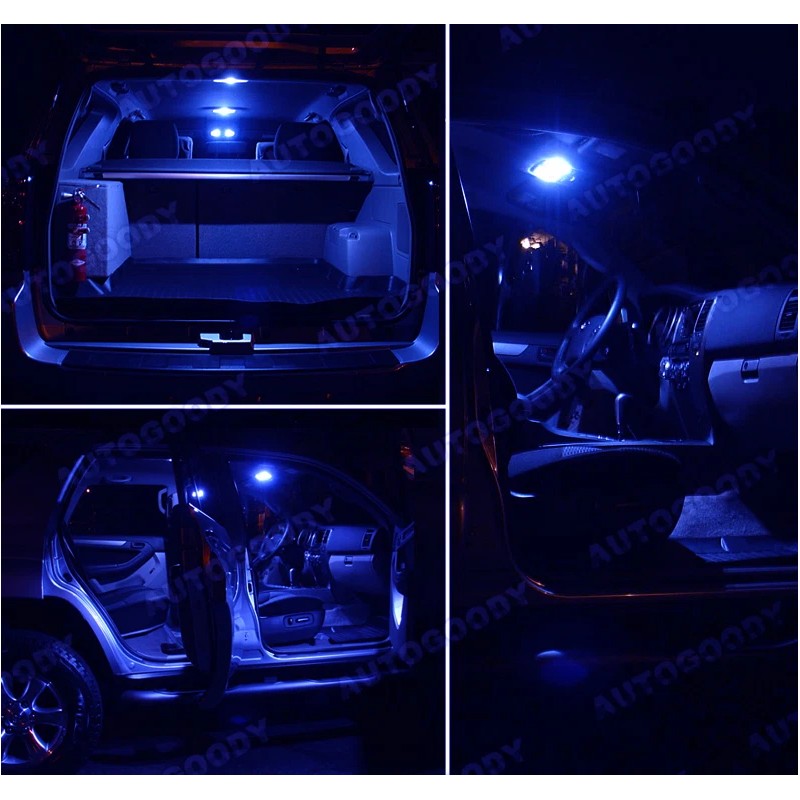 Dome, Map Reading, Courtesy Door Step Light 12 x Premium