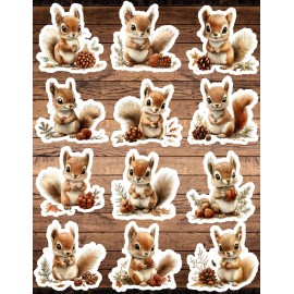 Unbranded Woodland Squirrel Die Cut Vinyl Stickers Set Scrapbooking Laptop Waterbottle