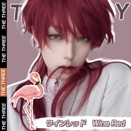 Hawkko Men's Short Wig, Full Wig, Long Straight Wig, Men's Wig, Black, Men's Wolf Cut, Wig, Men's, Harajuku, Handsome, Men's, Natural, Small Face, Heat Resistant, Popular, Fashion, Imechan, Cosplay,