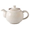 Koyo Pottery 20728 Teapot, Japanese Tableware, Small Pot, Mino Ware,