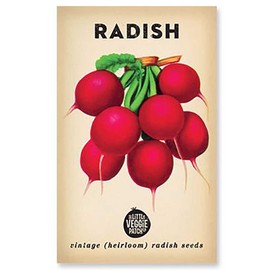 The Little Veggie Patch Co Radish Heirloom Seeds, 1 pack
