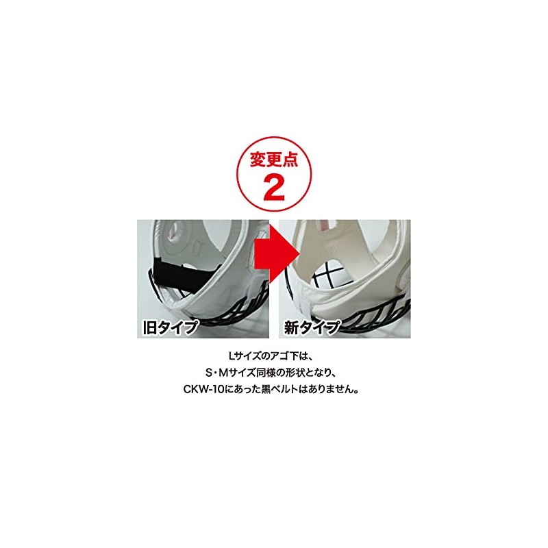 ISAMI Karate Head Guard II TN-10 // Pimper Face Metal