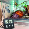 TFA Dostmann Terracheck Digitales Thermo-Hygrometer, 30.5044.01, Kabelfühler mit Saugnäpfen, ideal