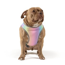 Canada Pooch Chill Seeker Dog Cooling Vest Water Evaporative and Adjustable Rainbow - Size 12 (11-13" Back Length)