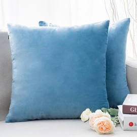 CLVEDU Decorative Pillow Covers, 2Pack 18x18In Velvet Cushion Covers, Premium Quality Pillowcases Throw Pillow Covers with Hidden Zipper, Ideal for Sofa, Bed Decoration 45x45cm