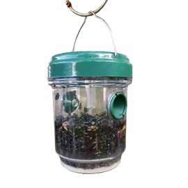 GREENSTRIKE 10050 Solar Decorative Led Fly Trap Lantern