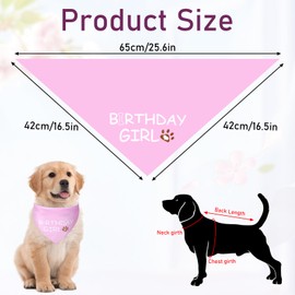Dog Birthday Bandana Birthday Girl Dog Birthday Supplies for Small Medium Dog Pet