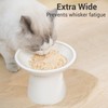 CEEFU Extra Wide Elevated Ceramic Cat Bowl - 6.2" Shallow