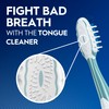 Oral-B Pro Health CrossAction Plaque Removal toothbrushes, 2 Count Toothbrush