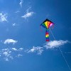 In the Breeze Mini Rainbow Fly Hi Delta Kite,2905