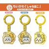 [API] Chiikawa Local Limited Die Cut Key Chain, Nagoya Limited