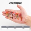 PROBITE 5PCS Soft Shrimp Lures with Jig Heads – Pre-Rigged