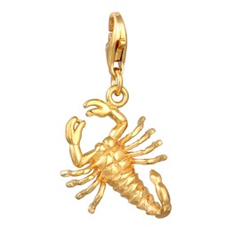 Nenalina 0412420222 Scorpion Carabiner Charm Pendant for Charm Bracelet 925 Sterling Silver, Sterling Silver