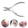 Joyzan Piglet Teeth Cutter Stainless Steel Pig Tooth Nipper Piglets