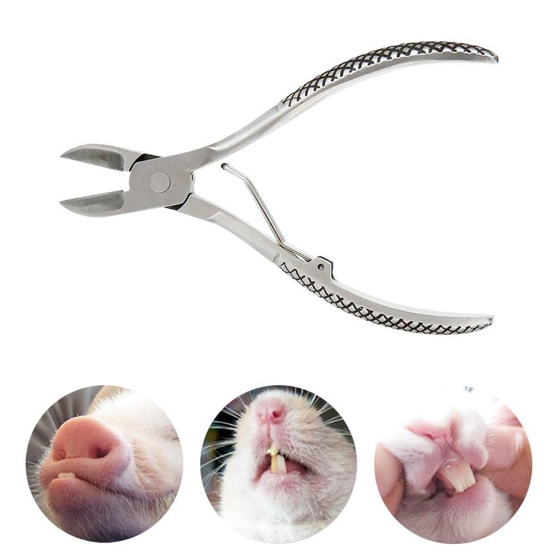 Joyzan Piglet Teeth Cutter Stainless Steel Pig Tooth Nipper Piglets