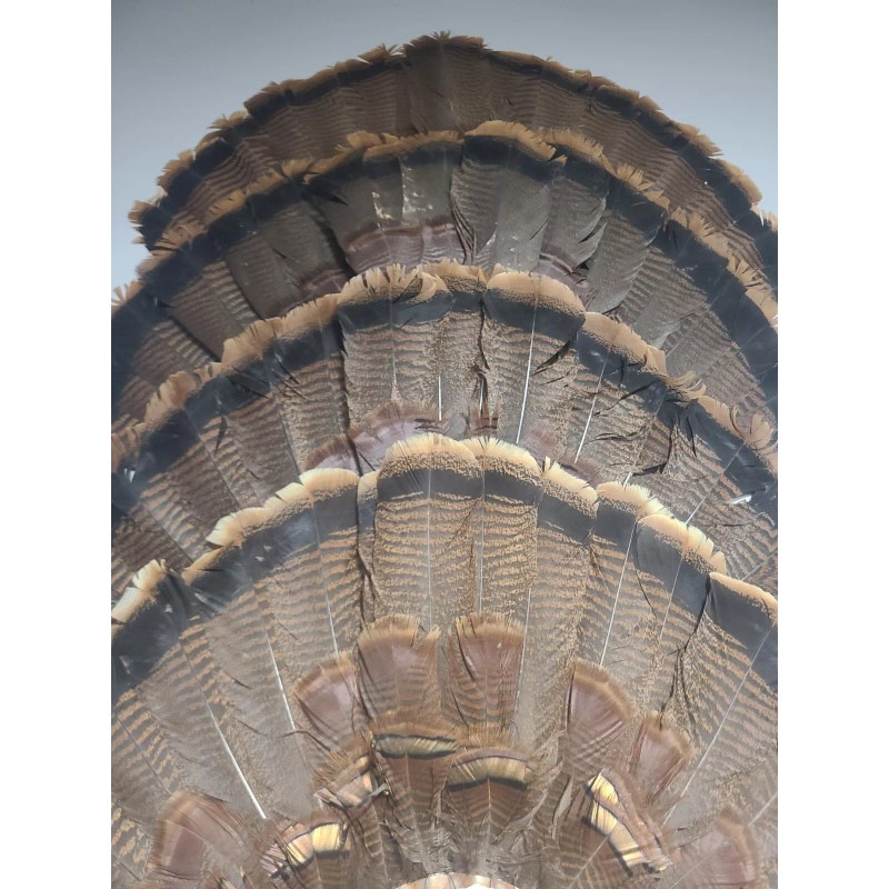 Thuli Products Turkey Fan Extension Brackets