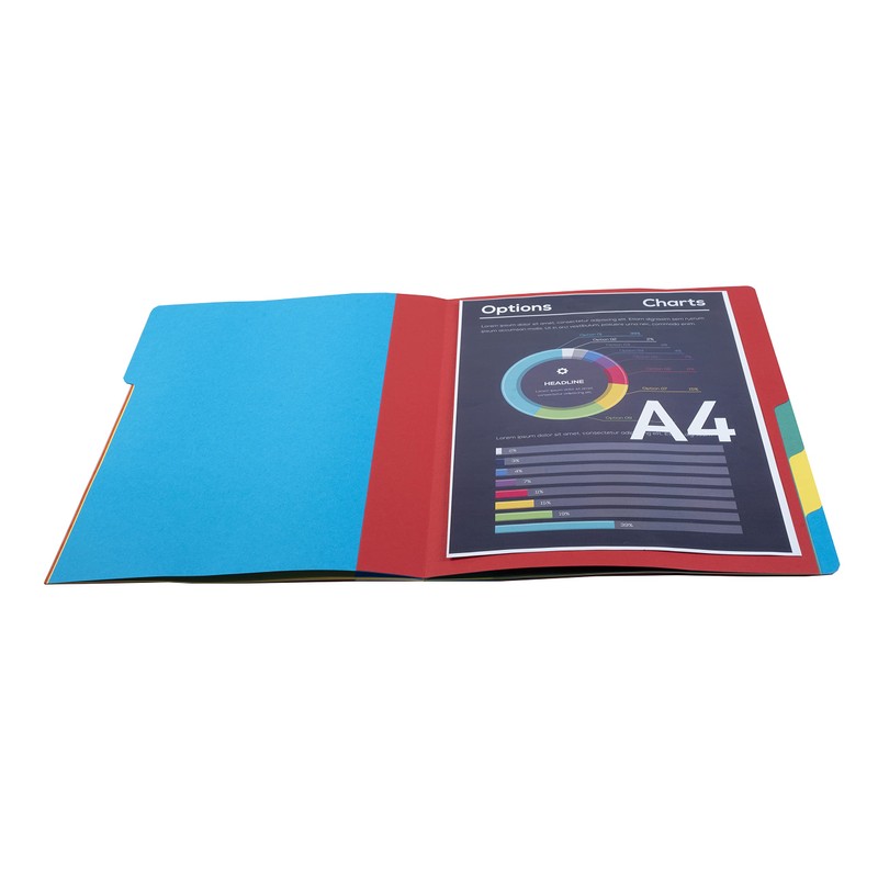 Exacompta - Ref 55065E - Harmonika Multipart File - 24.5