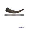 Herders Choice Chews Dried Goat Horns Dog Chew Large 1