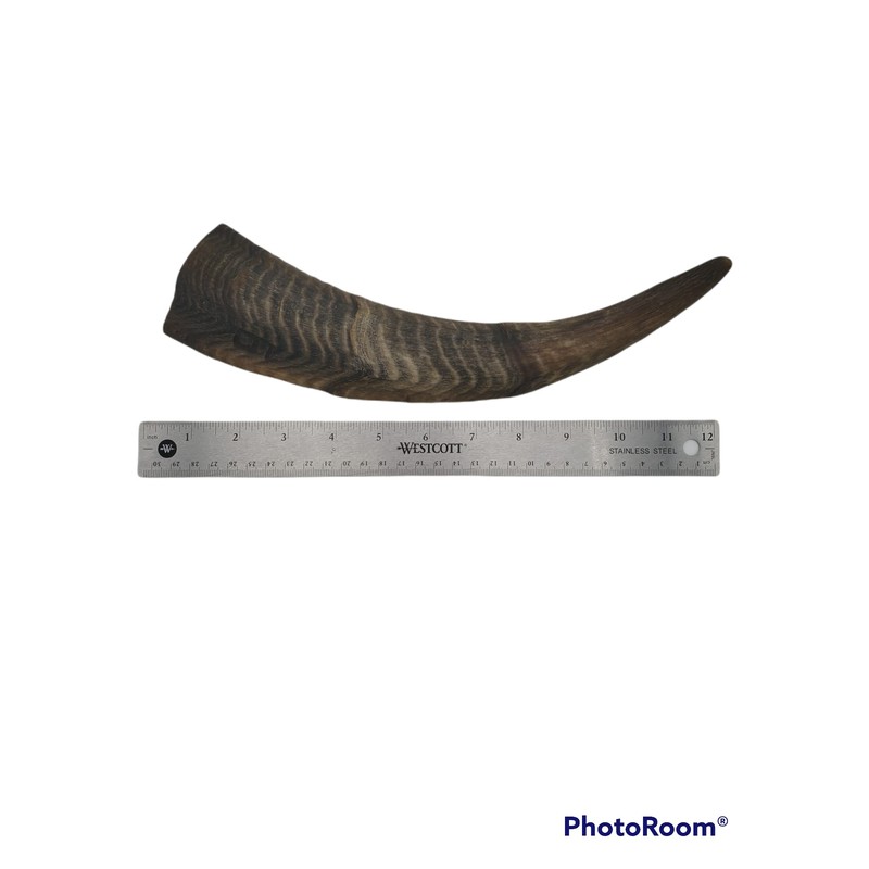 Herders Choice Chews Dried Goat Horns Dog Chew Large 1