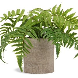 Small Fake Plant Potted Plants Artificial Decor Silk Boston Ferns Plant Faux Plants in Pots for Home Living Room Bedroom Desk Bathroom Window Shelf Farmhouse Decoration