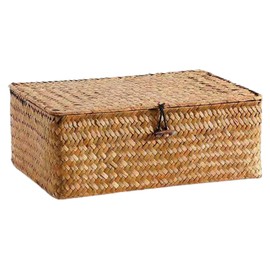 Handwoven Rattan Storage Basket, Woven Storage Box, Desk Organisation, Bicycle Bags Set (Khaki, One Size)