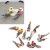 12Pcs Simulation Foam Bird Artificial Bird Decor with Clip Fixing