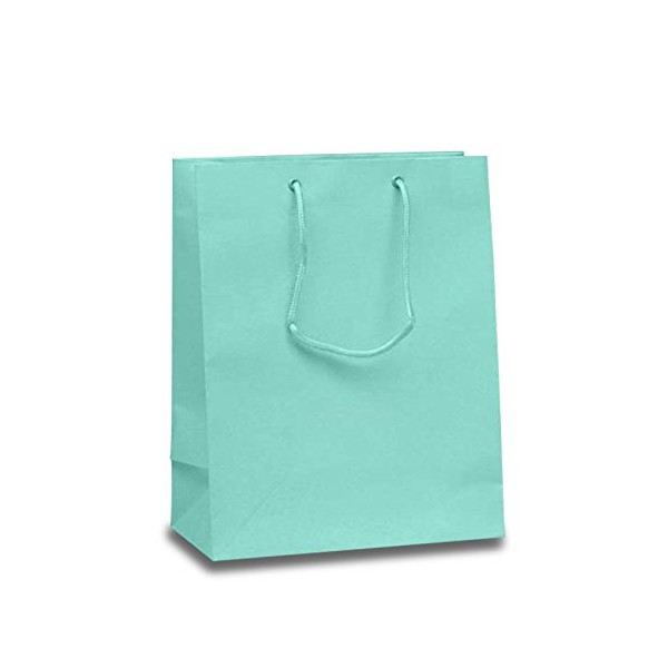 Matte Light Aqua Euro Bags | Quantity: 100 | Width: