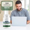 Alga Espirulina Orgánica 500 Mg Pack 3 Frascos Con 100
