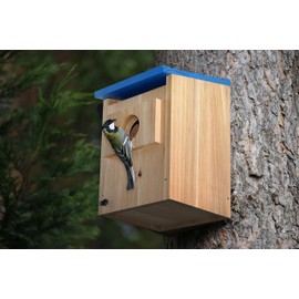 Spiretro Bird Houses Outside Finch Bluebird Cardinals, Weatherproof Cedar Wood Hanging Birdhouses Easy Cleaning, Air Vents, Fledgling Skerfs for Garden Cottages_Beige & Blue