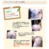 プロバイオCA 30包入り×3個セット