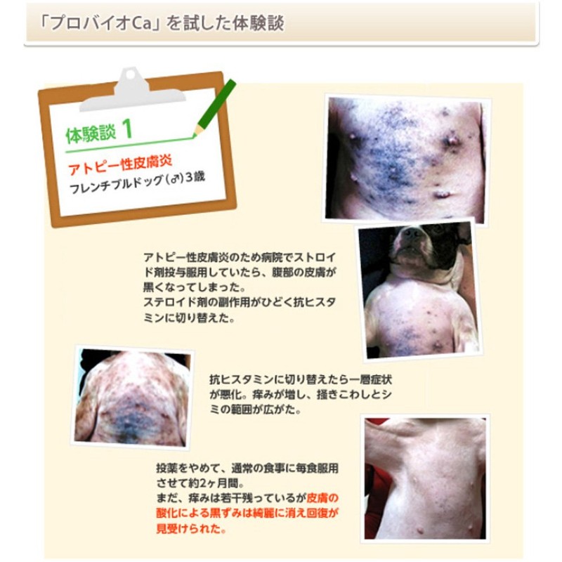 プロバイオCA 30包入り×3個セット