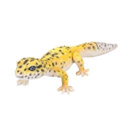 Uvia Leopard Lizard Yellow 18.5 x 7.5 x 4 cm Doll Figurine Figurine Animal Garden Decoration Lizard H17338
