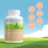 Psyllium Husks Capsules Fibre Supplement 1400mg - 180 Vegan Tablets