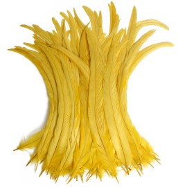 Natural Rooster Tail Feathers 50pcs 10-12inch Long Rooster Coque Tail Feathers Bulk for DIY Crafts Costume and Halloween PartyColor: Yellow, Feather Size (L x W): 10-12 inch/25-30cm