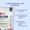 Hero Sport Creatina Monohidratada Creapure 1kg 100 Pura Solo Ingrediente